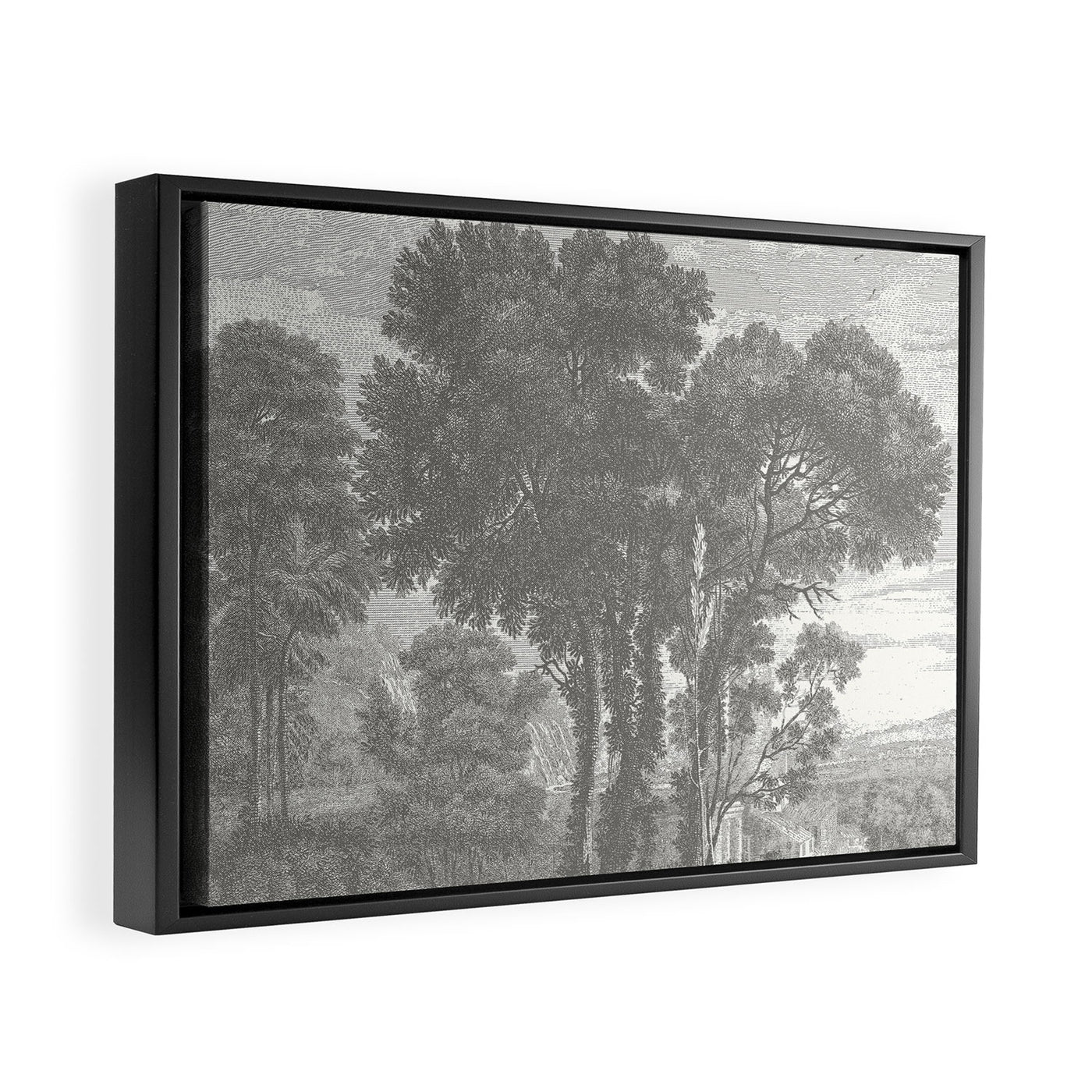 Beaux Arbres (Beautiful Trees), Warm Gray on Vanilla Snow Framed Canvas Print
