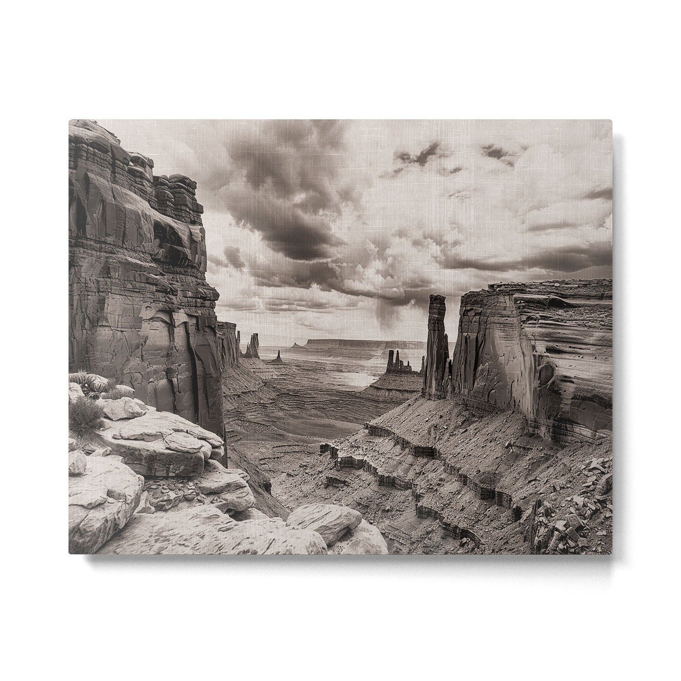 DESERT VAST Metal Print