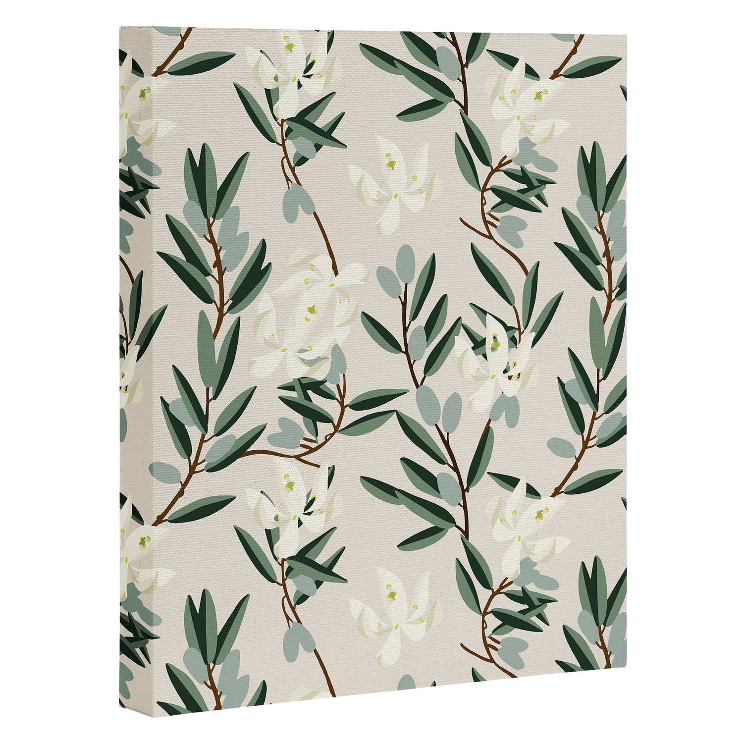 OLIVE BLOOM Canvas Print Gallery Image 3