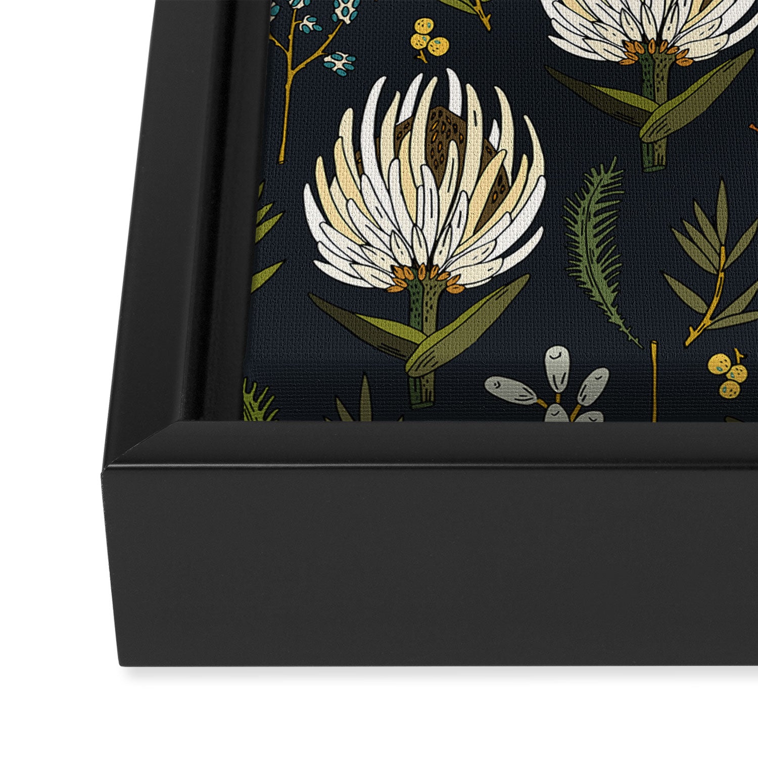 PROTEA NEUTRAL Framed Canvas Print Gallery Image 3