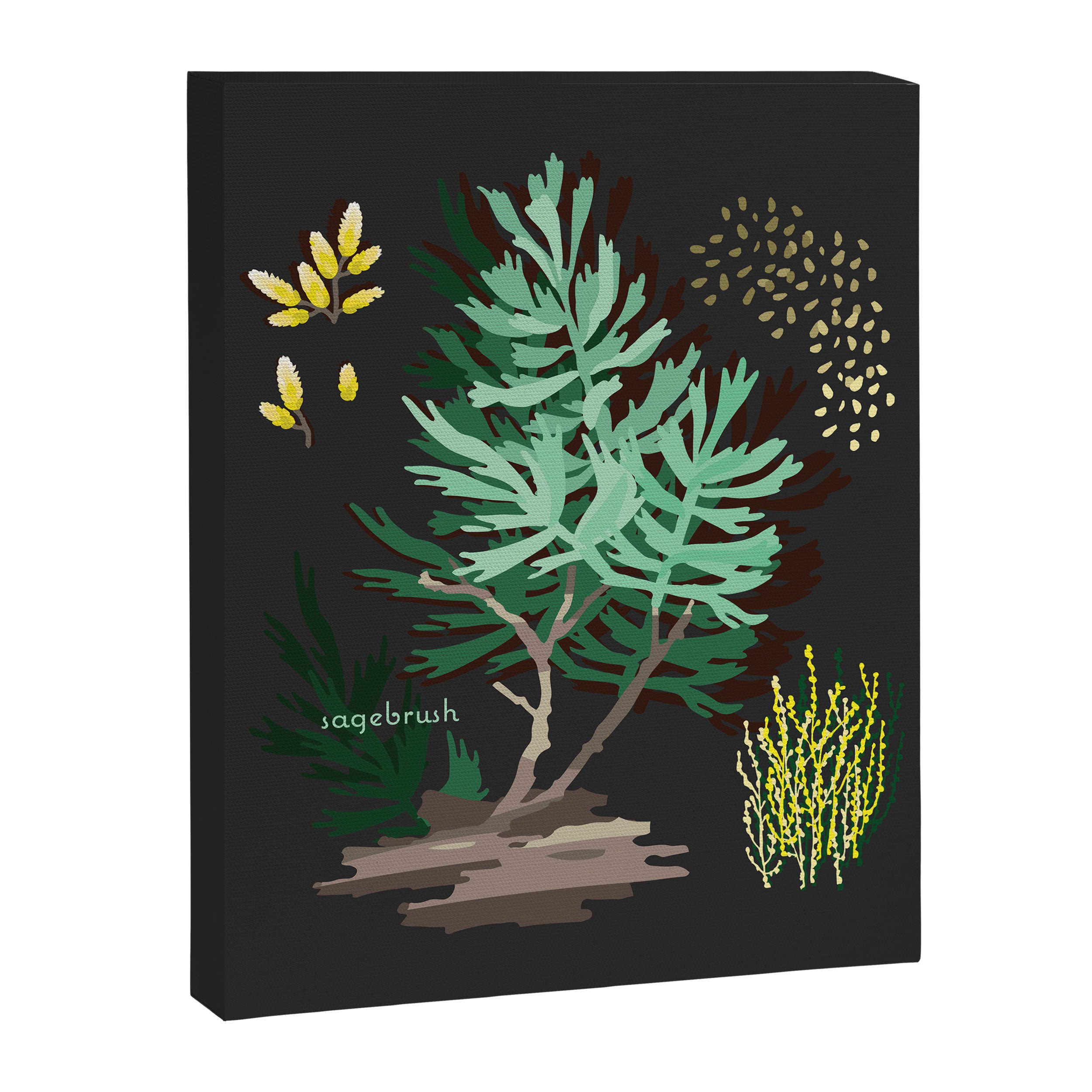 SAGEBRUSH Canvas Print Gallery Image 8