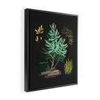 SAGEBRUSH Framed Canvas Print Gallery Image 2