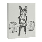 Boston Terrier Lift Canvas Print Gallery Image 8