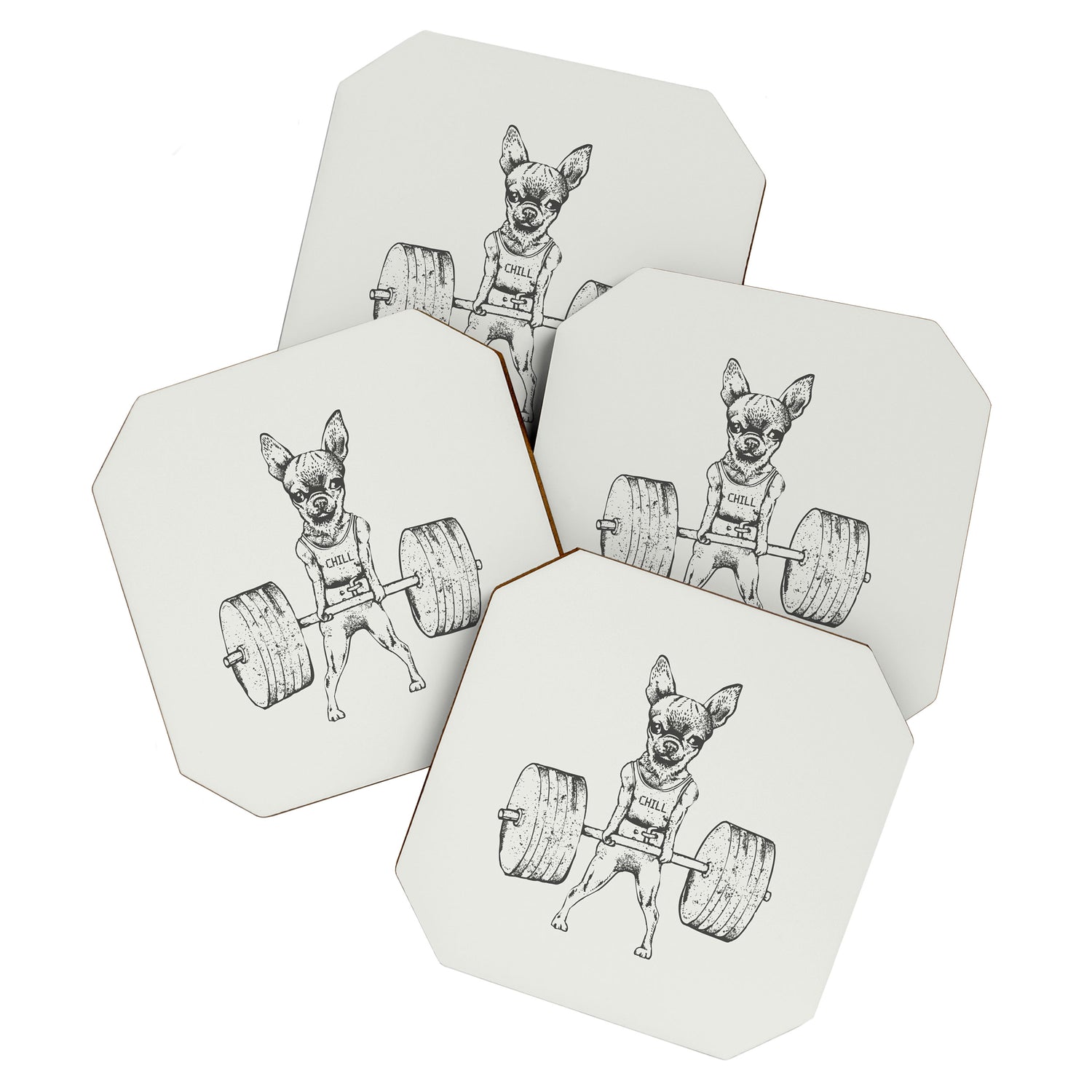 Chihuahua Lift Coaster Gallery Image 1