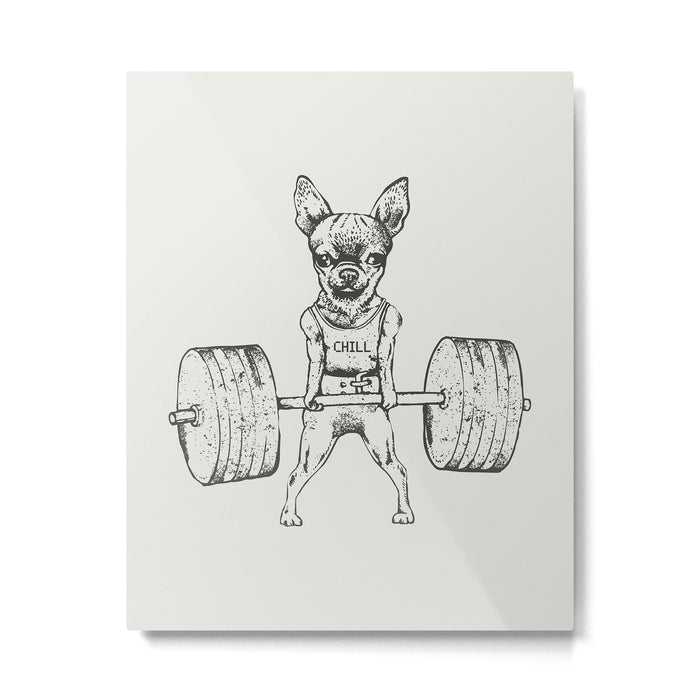 Chihuahua Lift Metal Print Gallery Image 1