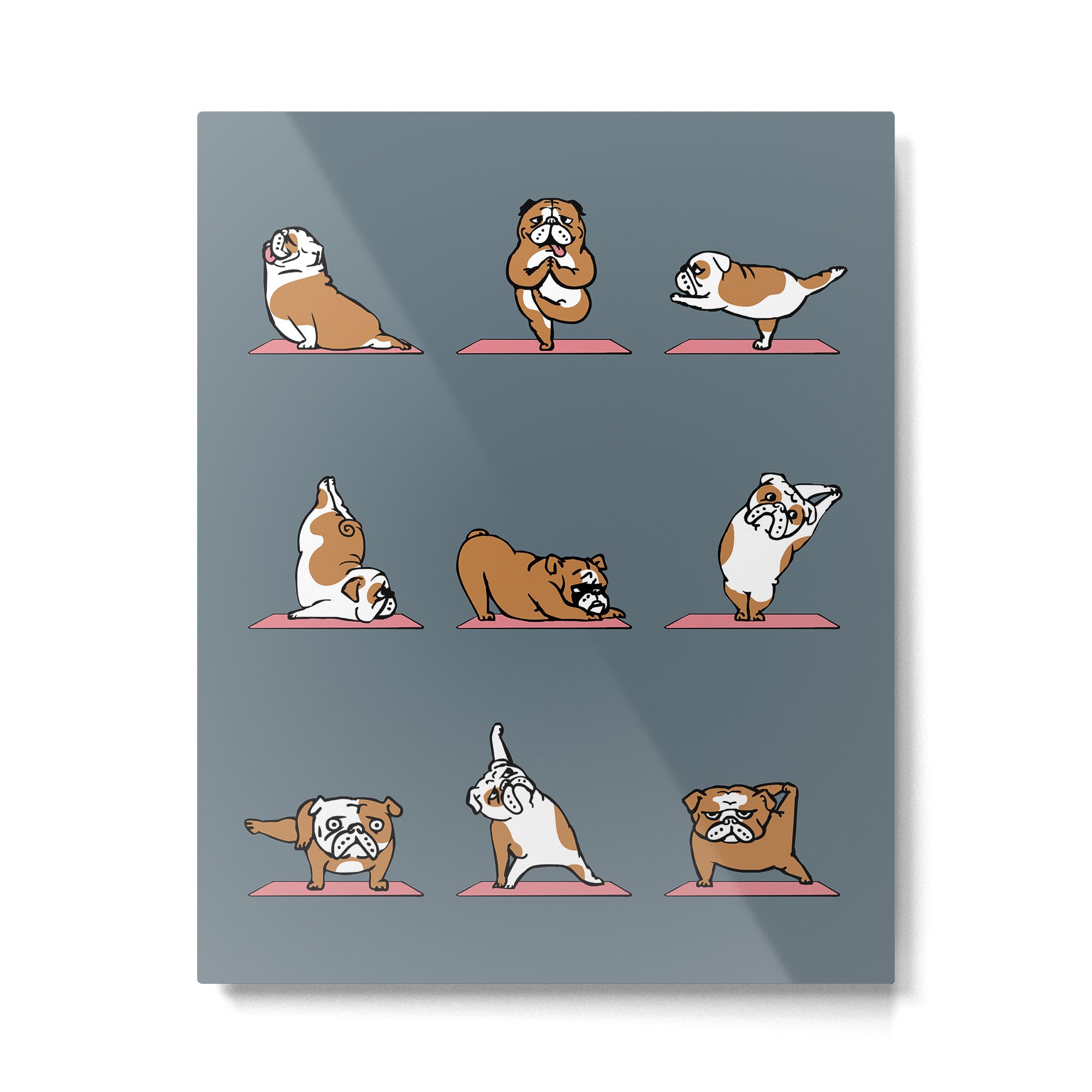 English Bulldog Yoga Metal Print Gallery Image 4