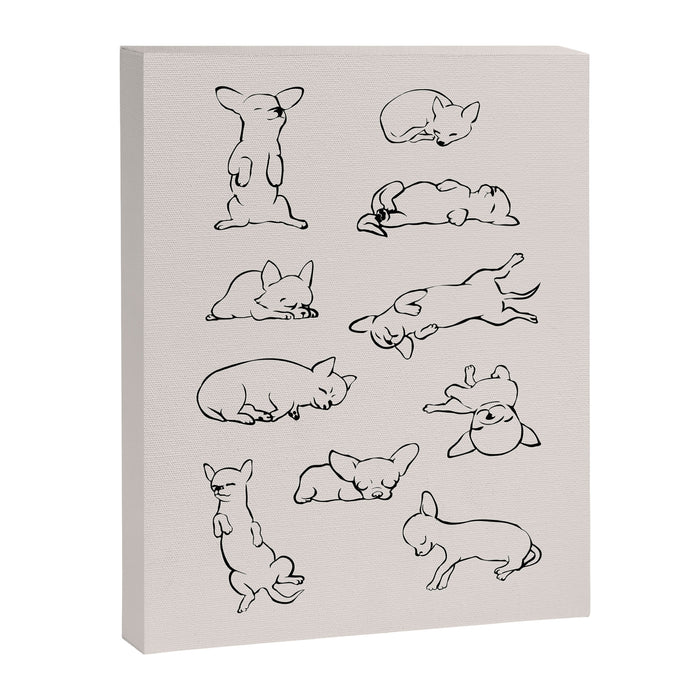 More Sleep Chihuahua Canvas Print Gallery Image 1