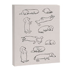 More Sleep Dachshund Canvas Print Gallery Image 8
