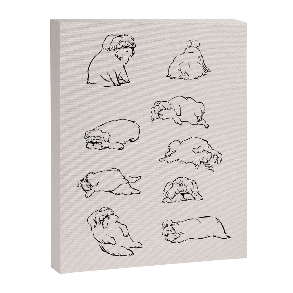 More Sleep Shih Tzu Canvas Print Gallery Image 6