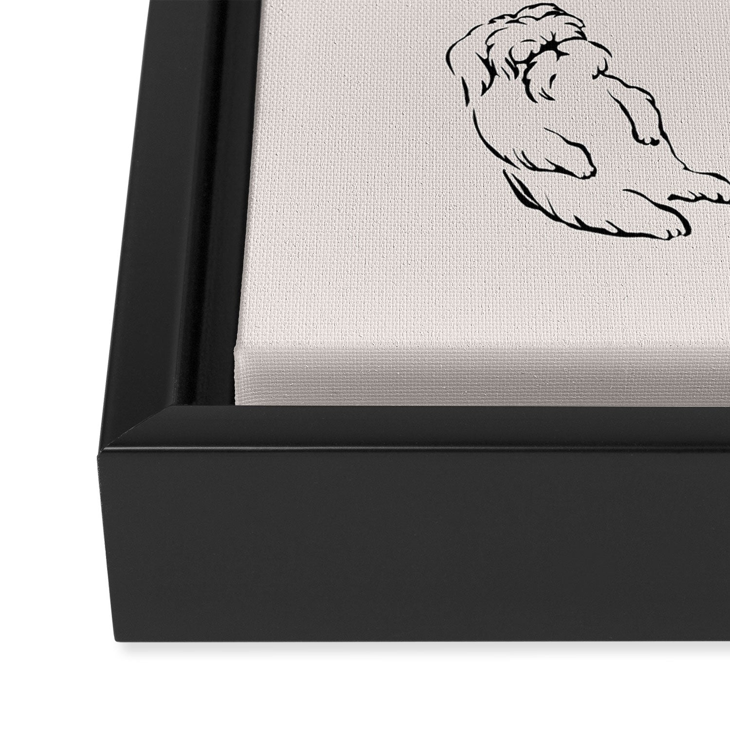More Sleep Shih Tzu Framed Canvas Print Gallery Image 3
