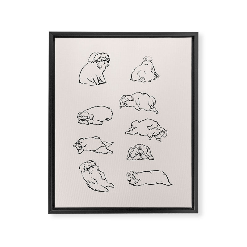 More Sleep Shih Tzu Framed Canvas Print Gallery Image 6