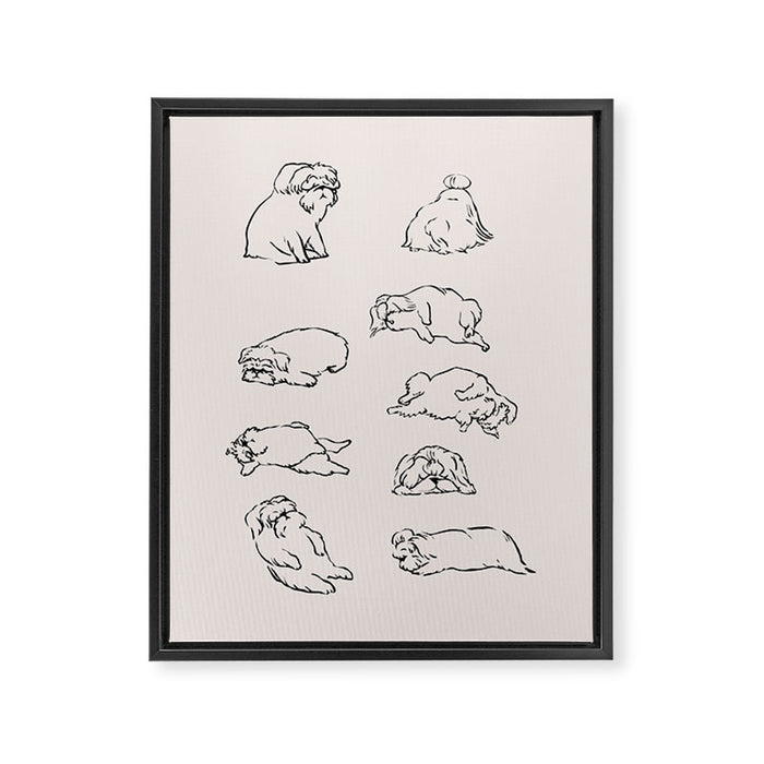 More Sleep Shih Tzu Framed Canvas Print Gallery Image 1