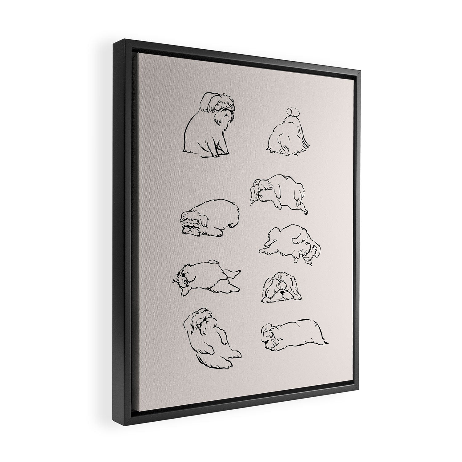 More Sleep Shih Tzu Framed Canvas Print Gallery Image 2