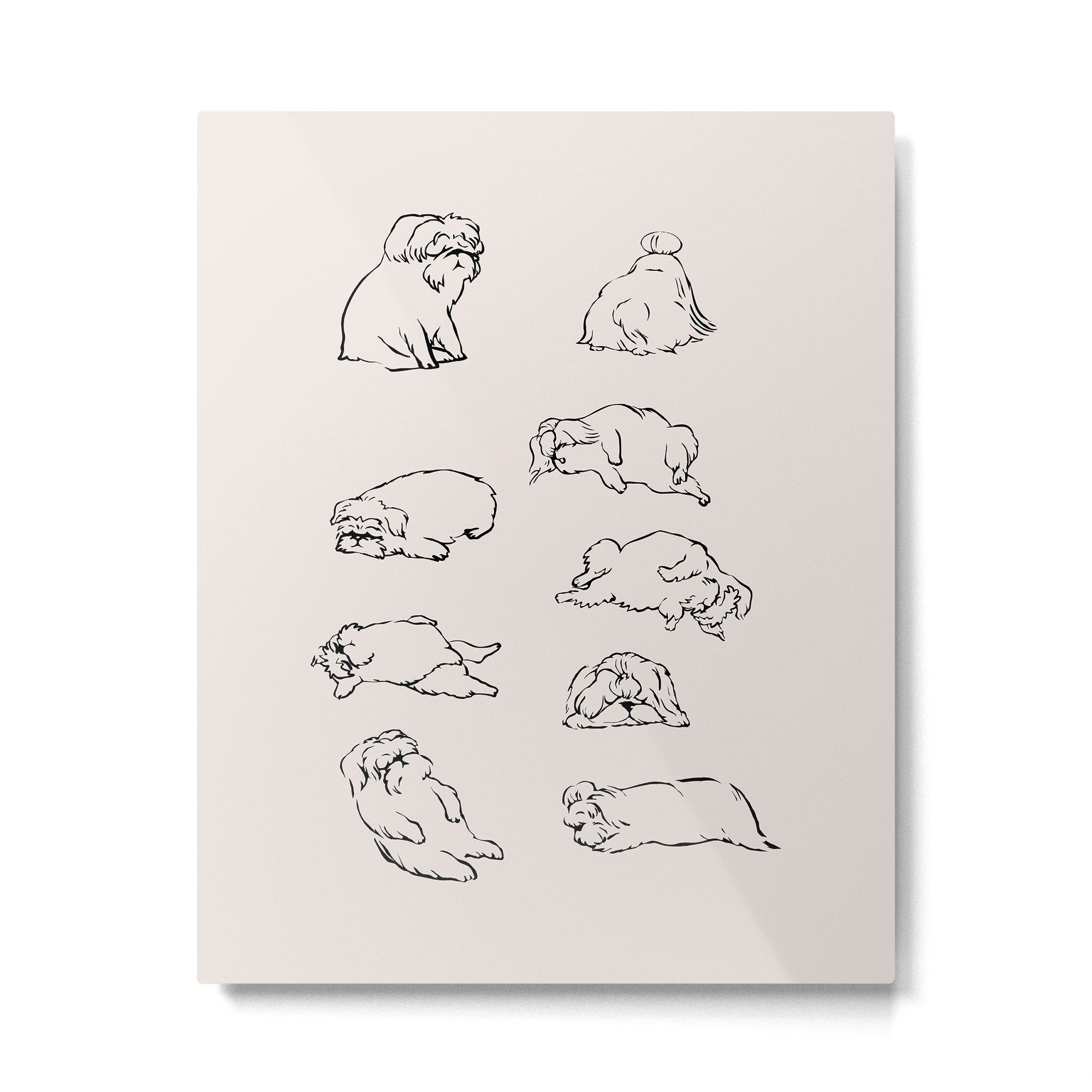 More Sleep Shih Tzu Metal Print Gallery Image 4