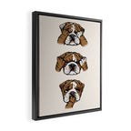 No Evil English Bulldog Framed Canvas Print Gallery Image 2