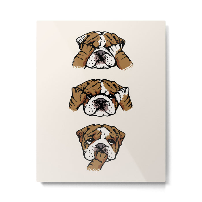 No Evil English Bulldog Metal Print Gallery Image 1
