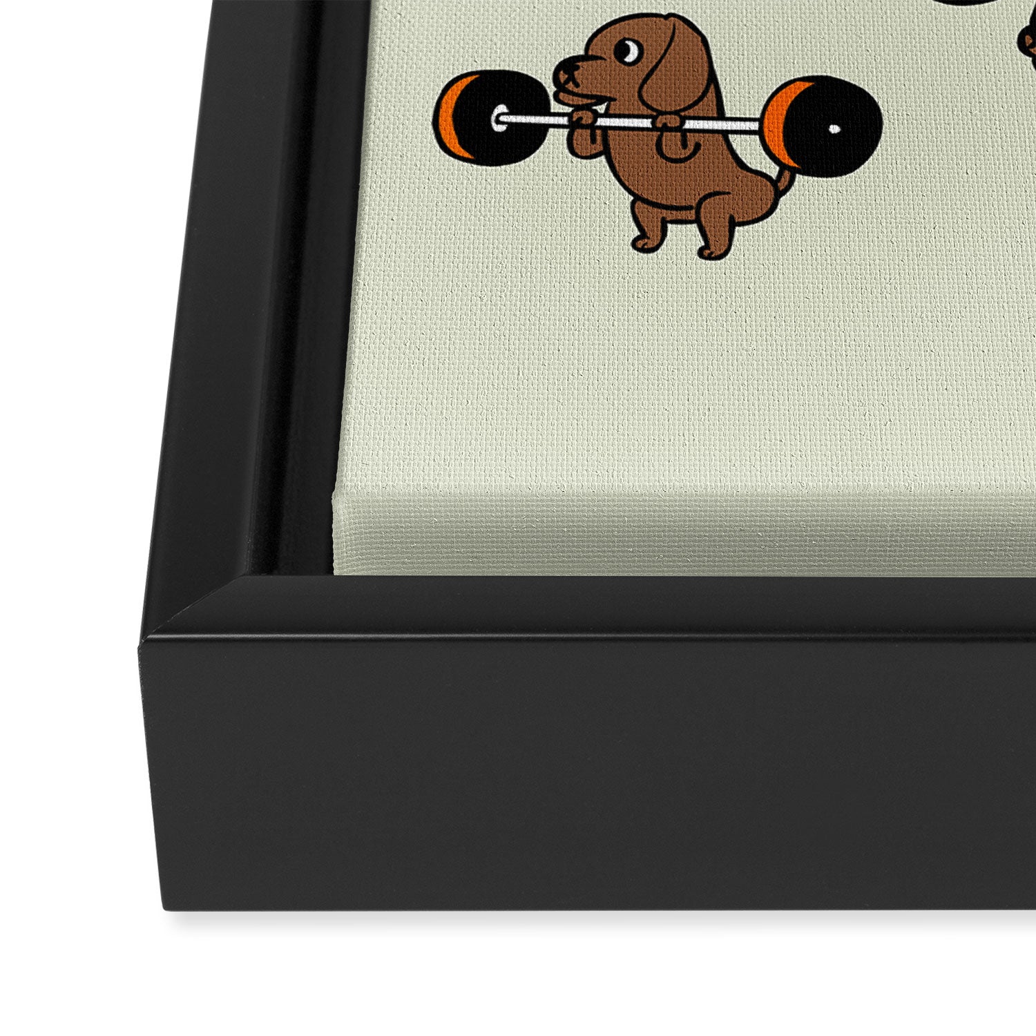 Olympic Lifting Dachshund Framed Canvas Print Gallery Image 3