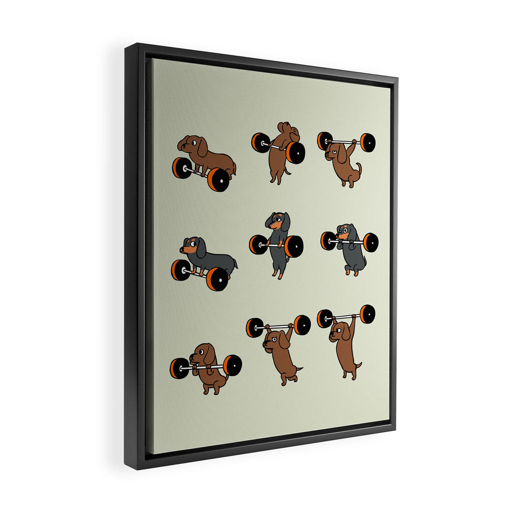 Olympic Lifting Dachshund Framed Canvas Print Gallery Image 2