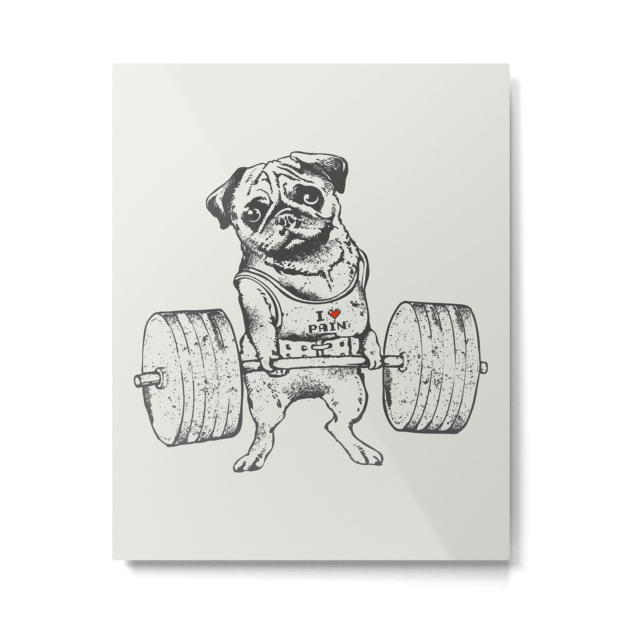 Pug Lift Metal Print Gallery Image 4