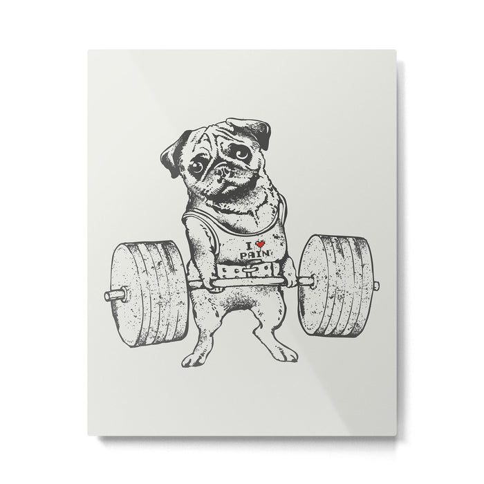 Pug Lift Metal Print Gallery Image 1