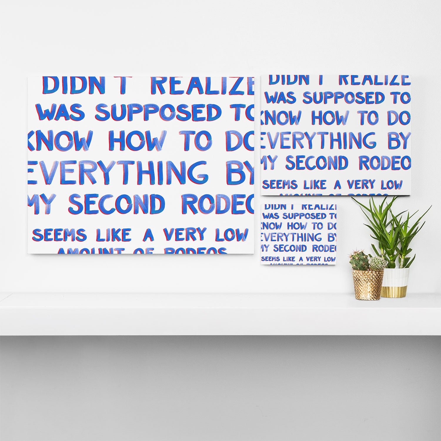 This Is My Second Rodeo Canvas Print Gallery Image 3