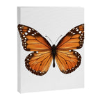monarch butterfly Canvas Print Gallery Image 8