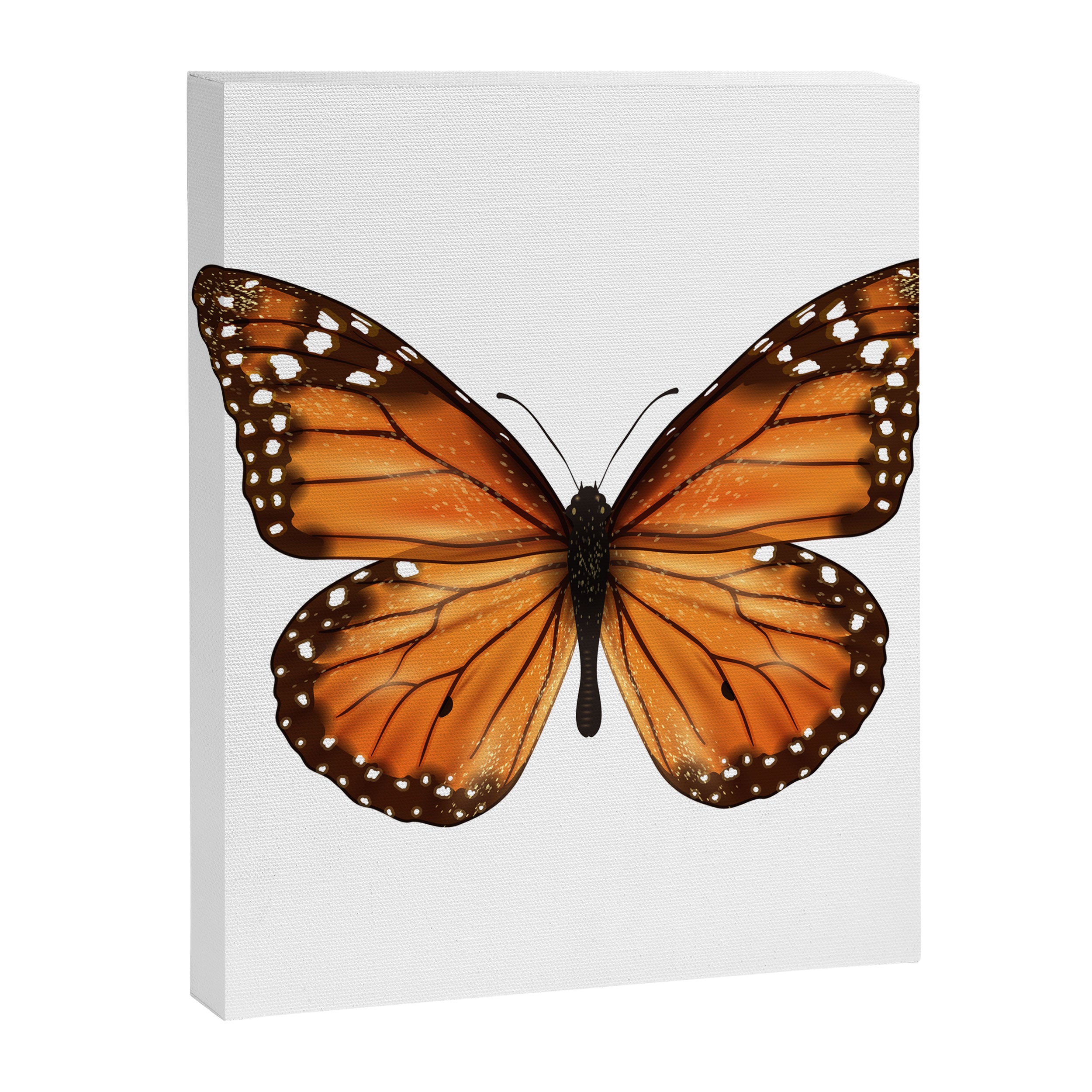 monarch butterfly Canvas Print Gallery Image 8