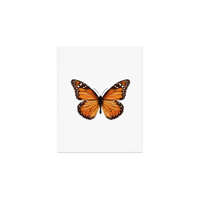 monarch butterfly Art Print Gallery Image 1