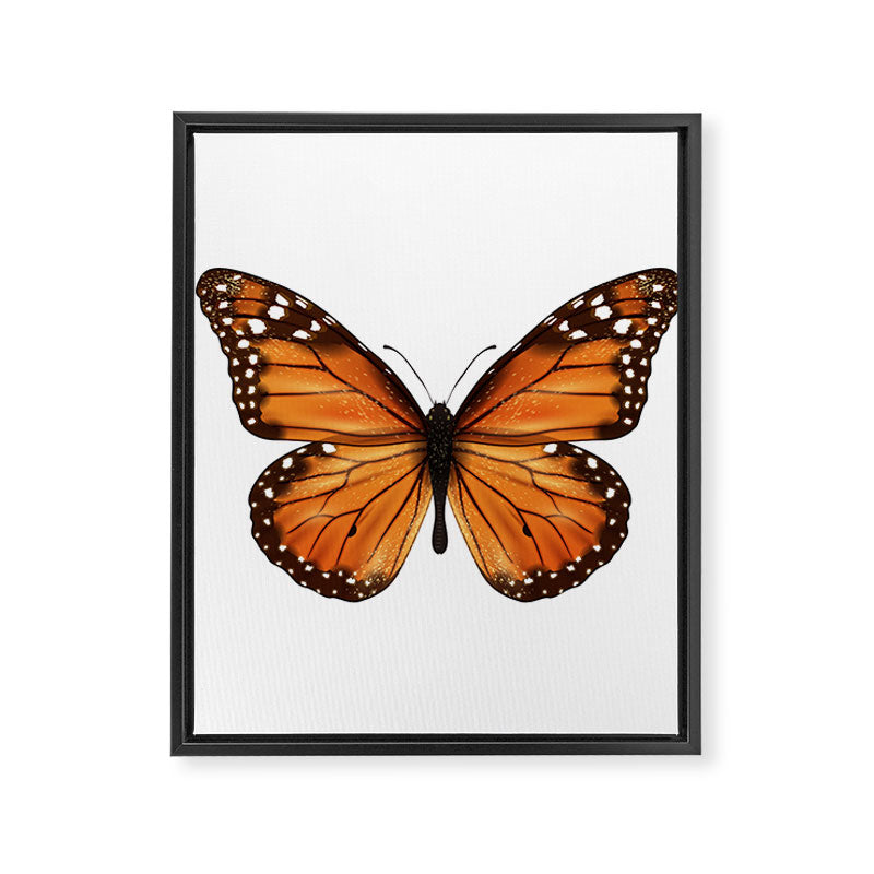 monarch butterfly Framed Canvas Print Gallery Image 8