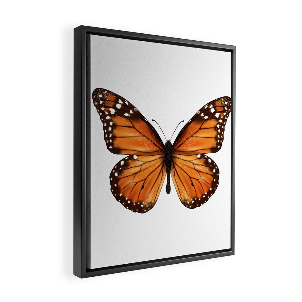 monarch butterfly Framed Canvas Print Gallery Image 2