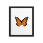 monarch butterfly Framed Art Print Gallery Image 6