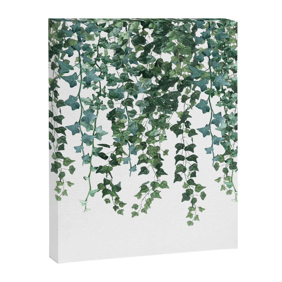 Ivy Vine Drop Canvas Print Gallery Image 8