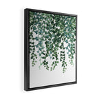 Ivy Vine Drop Framed Canvas Print Gallery Image 2