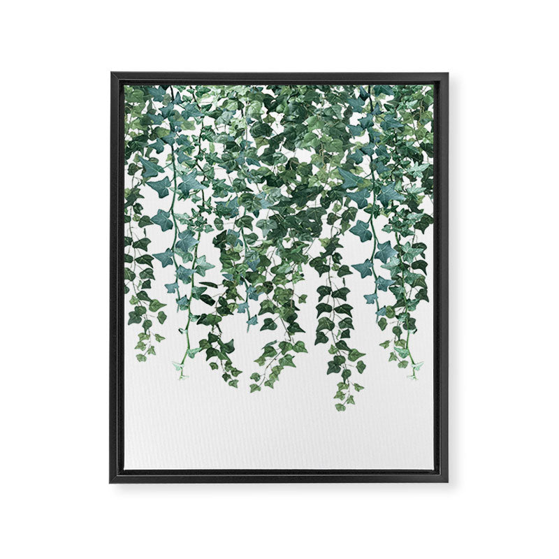 Ivy Watercolor Framed Canvas Print Gallery Image 8