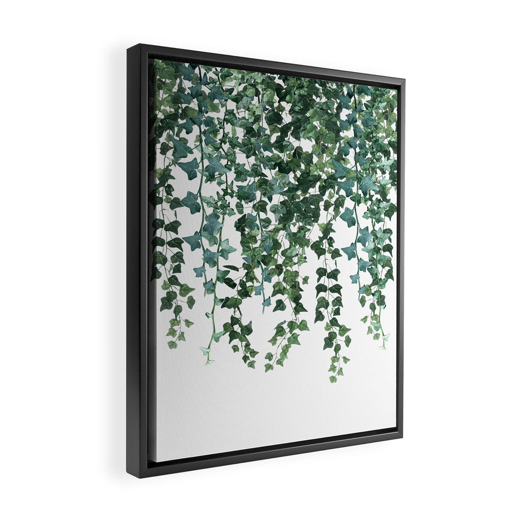 Ivy Watercolor Framed Canvas Print Gallery Image 2