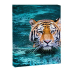 Tiger in Water Canvas Print Gallery Image 6