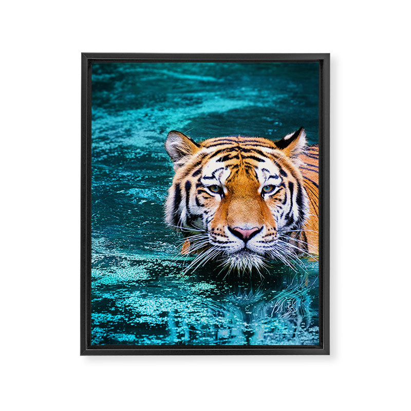 Tiger in Water Framed Canvas Print Gallery Image 6