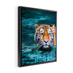 Tiger in Water Framed Canvas Print Gallery Image 2