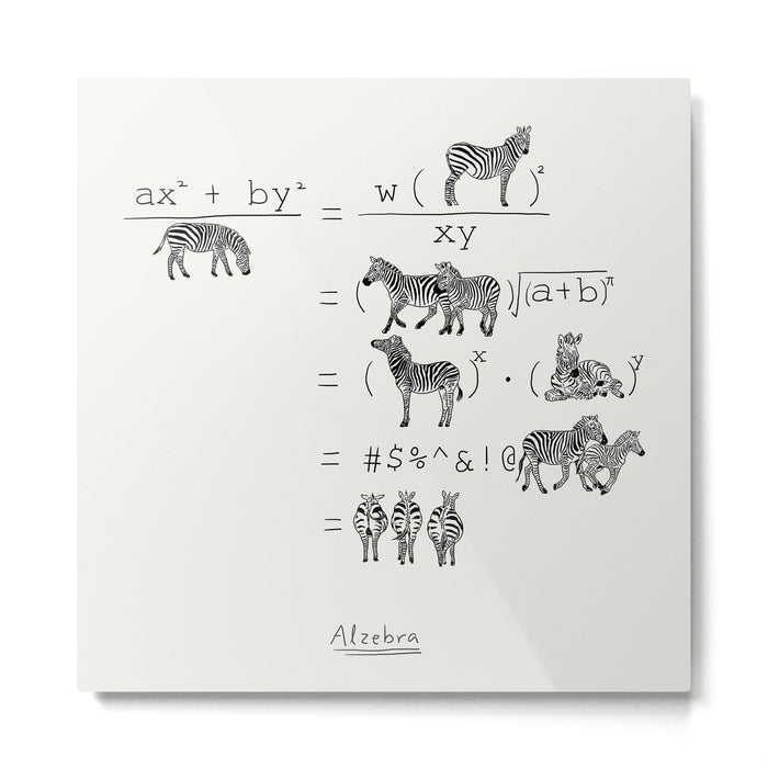 Alzebra Metal Print Gallery Image 1