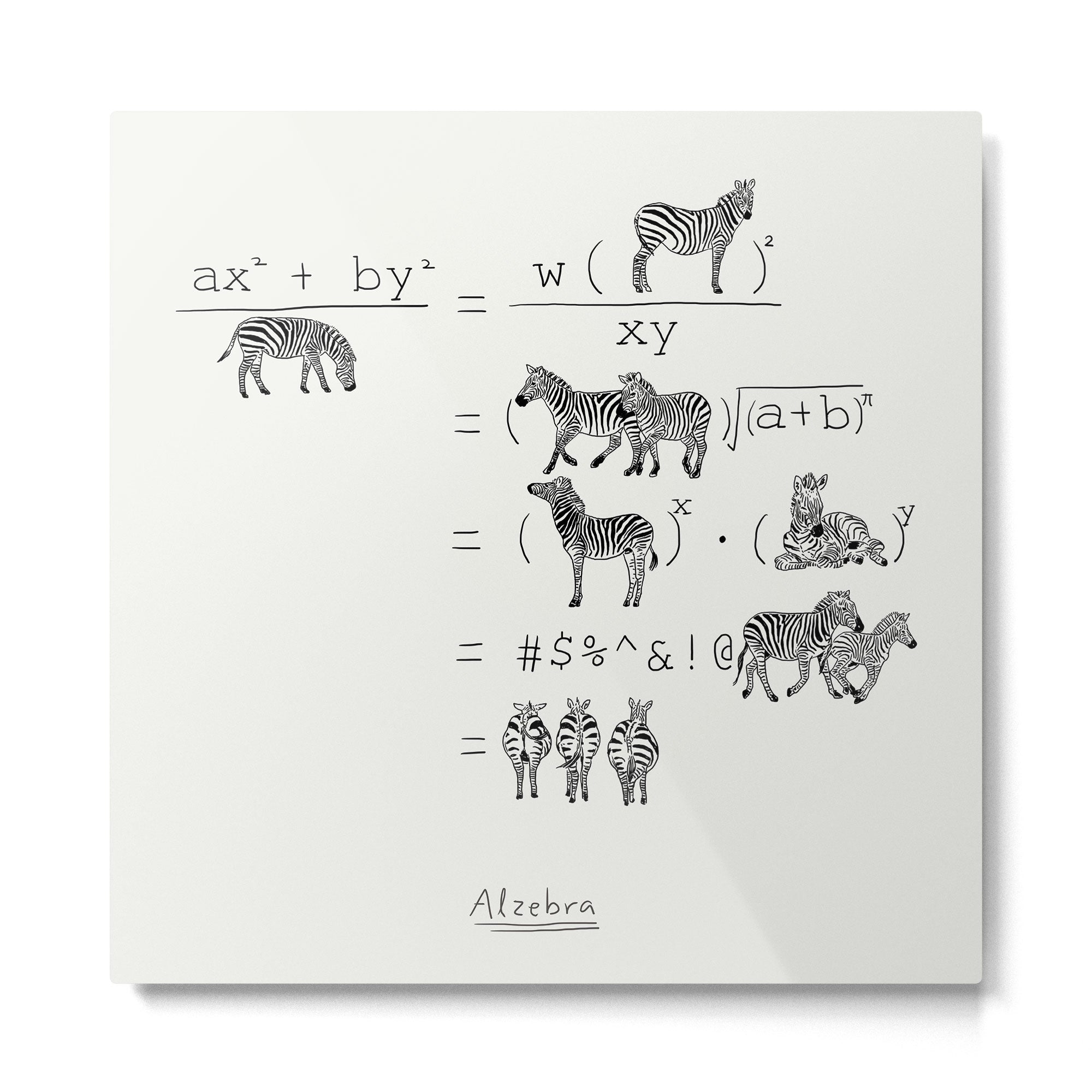 Alzebra Metal Print Gallery Image 2