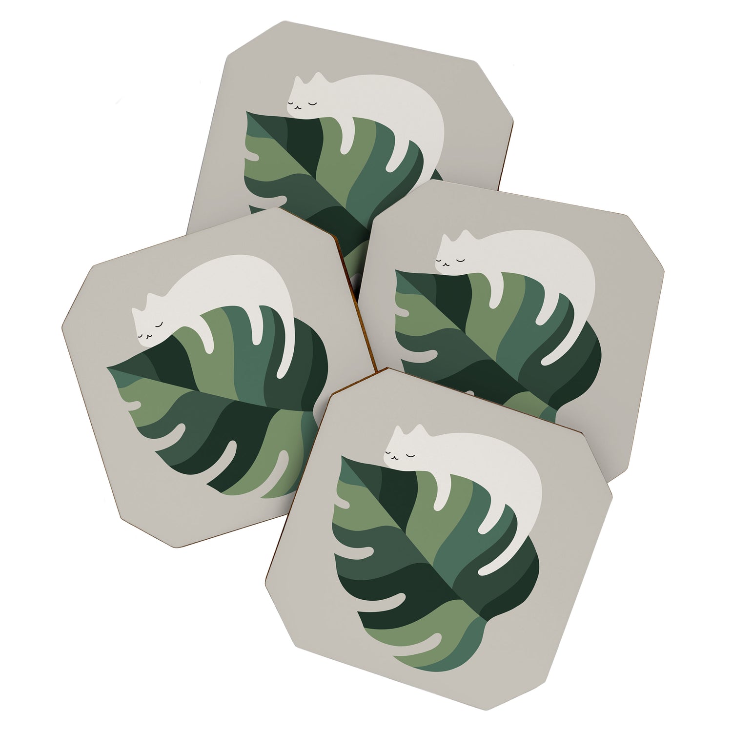 Cat and Plant 10 Coaster Gallery Image 1