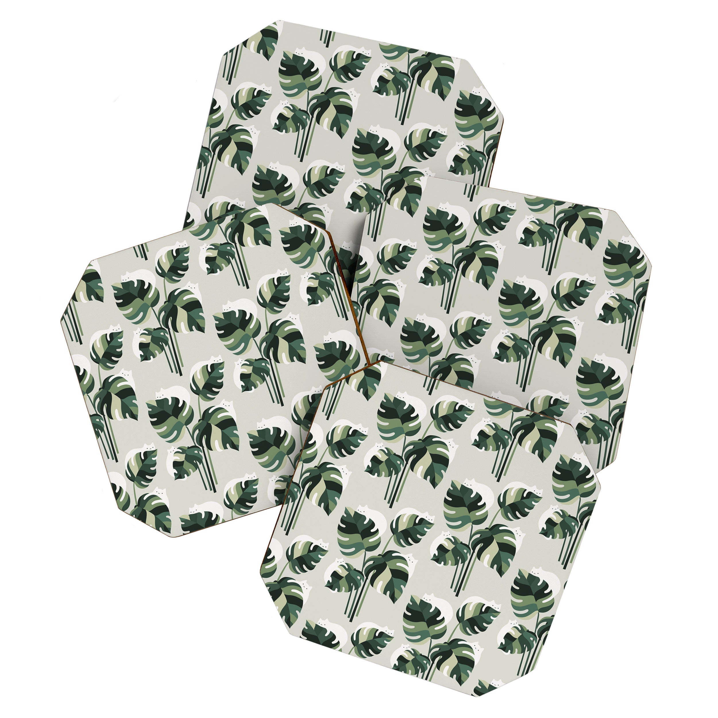 Cat and Plant 11 Pattern Coaster Gallery Image 1