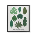 Cat and Plant 39: Tropicat Leaves Framed Canvas Print Gallery Image 6