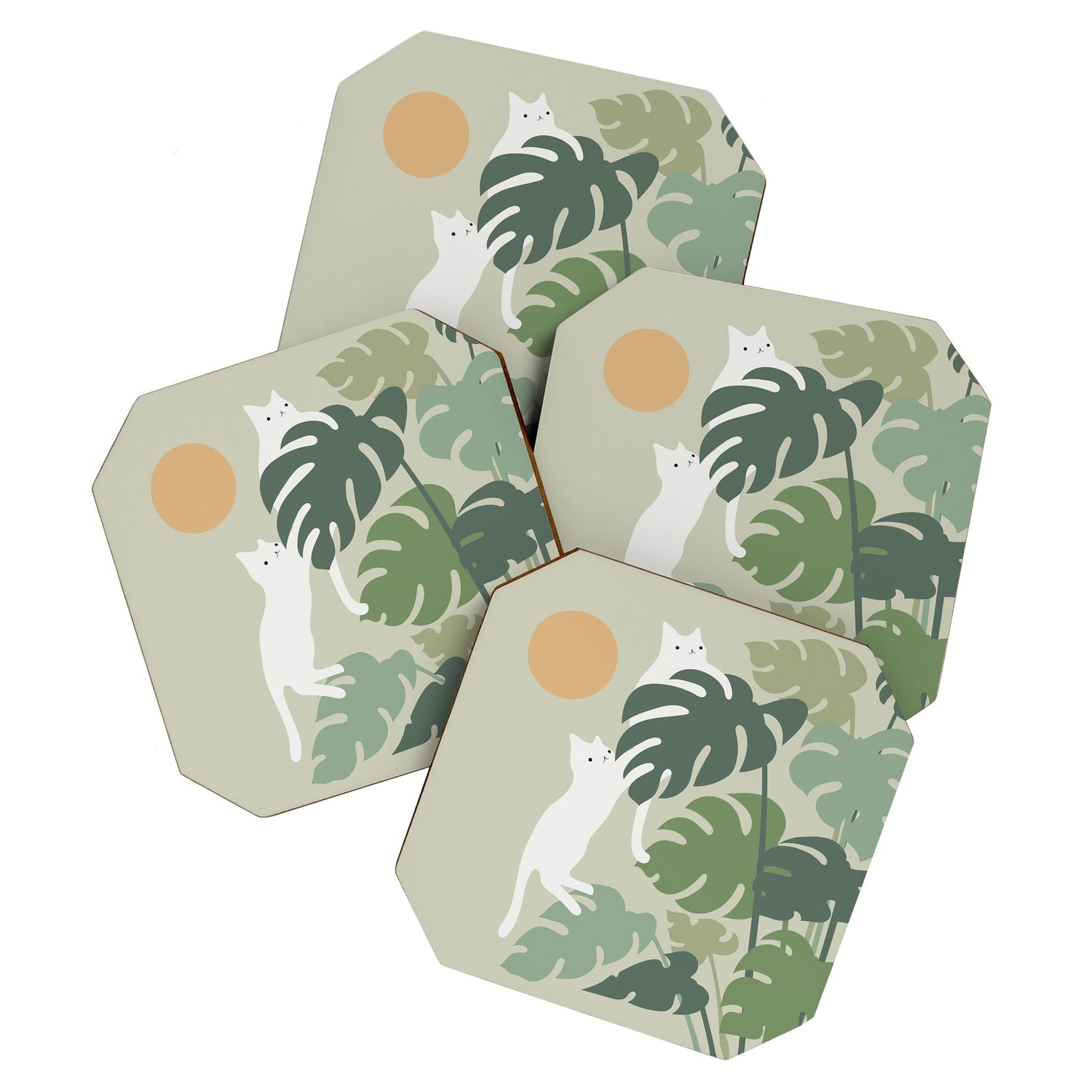 Cat and Plant 42 Coaster Gallery Image 1