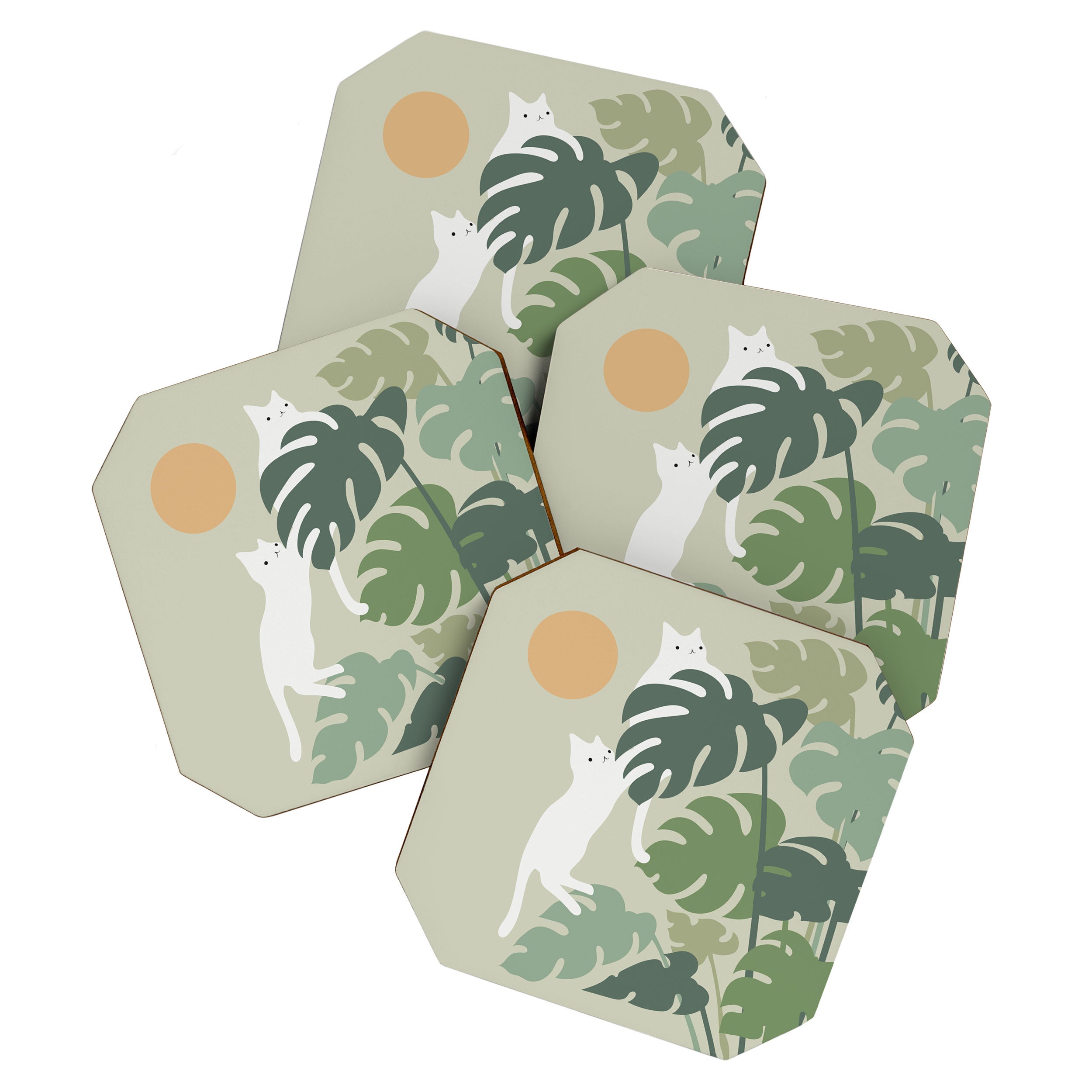 Cat and Plant 42 Coaster Gallery Image 1
