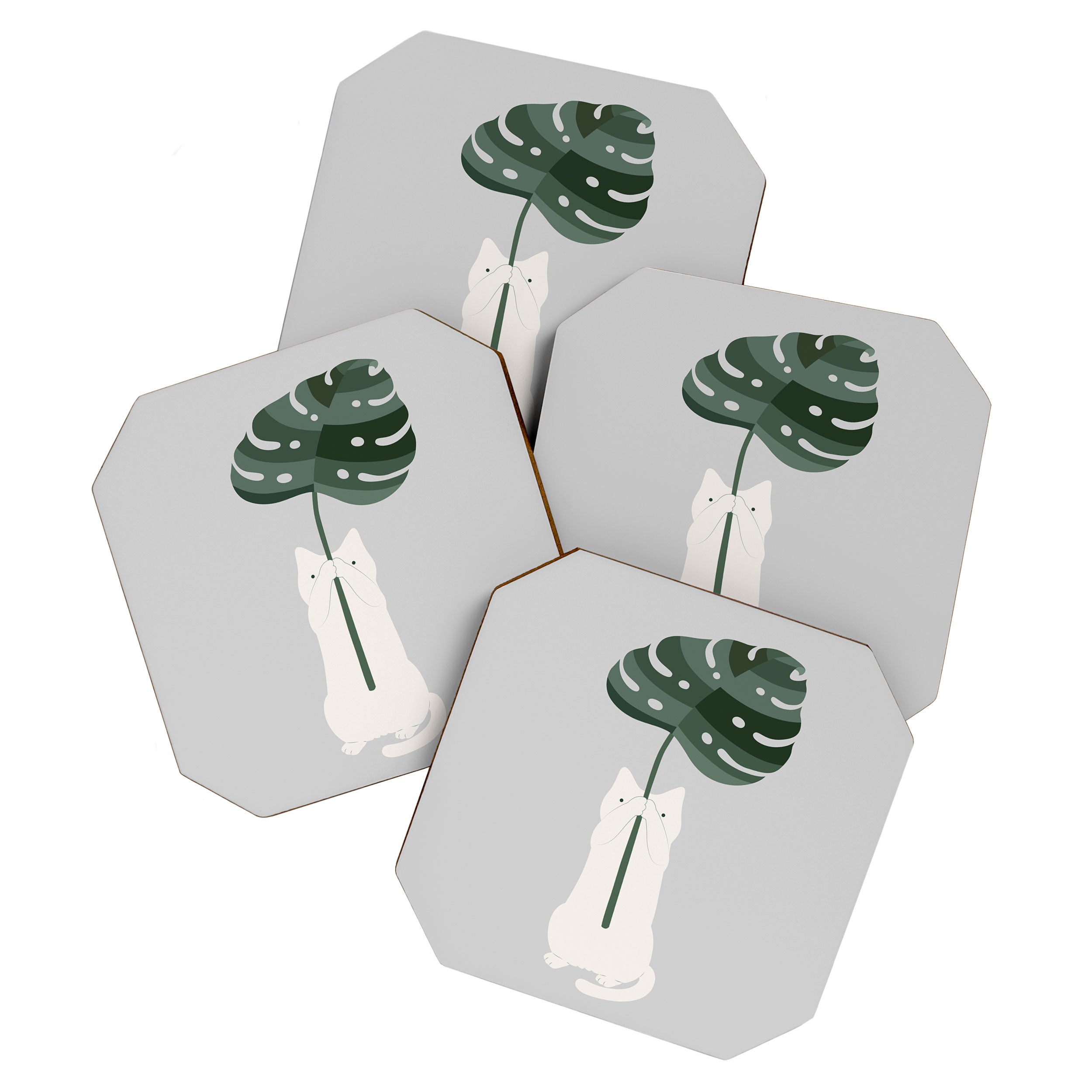 Cat and Plant 58 Coaster Gallery Image 1
