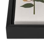 Cat and Plant 7B Framed Canvas Print Gallery Image 3