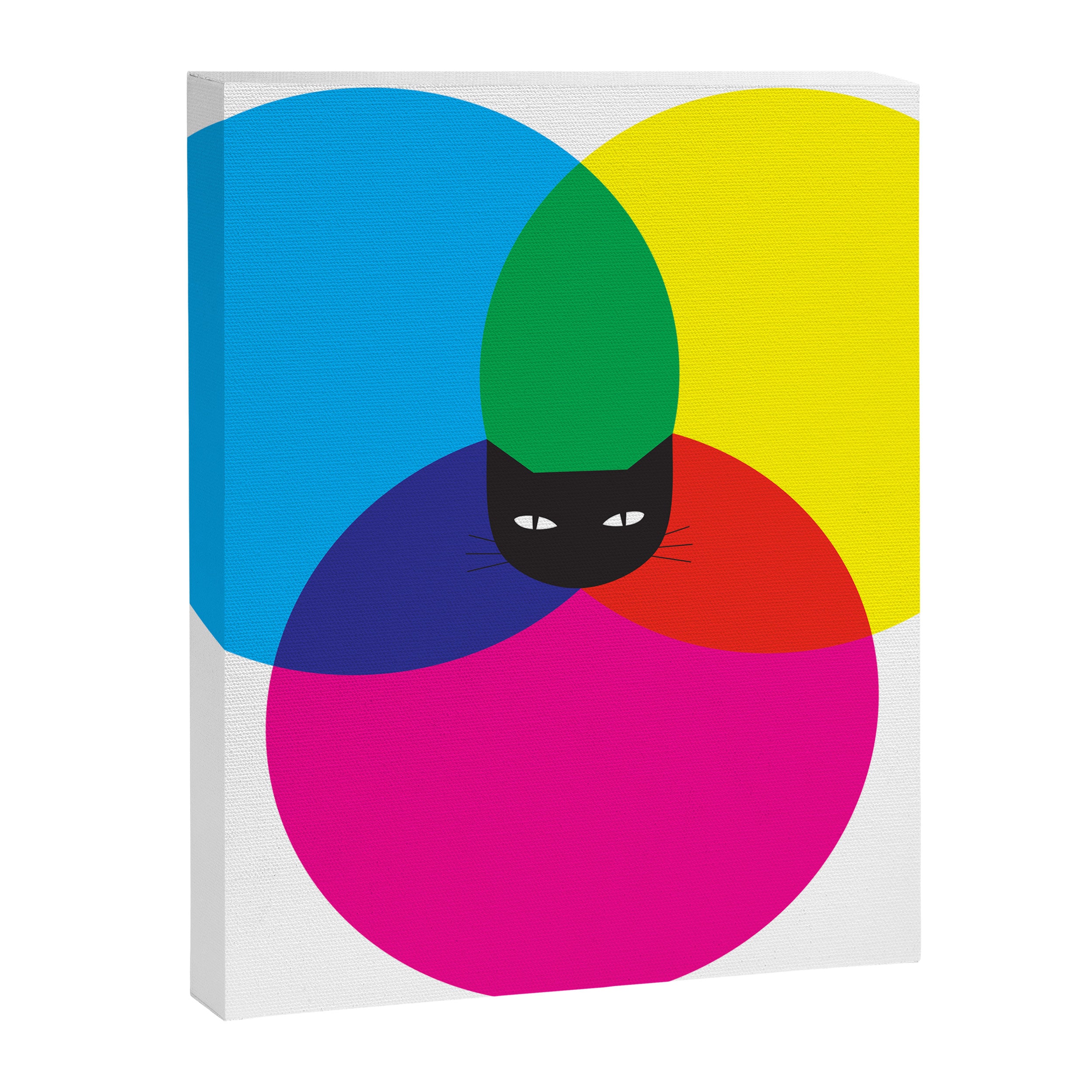 CMYKAT Canvas Print Gallery Image 8