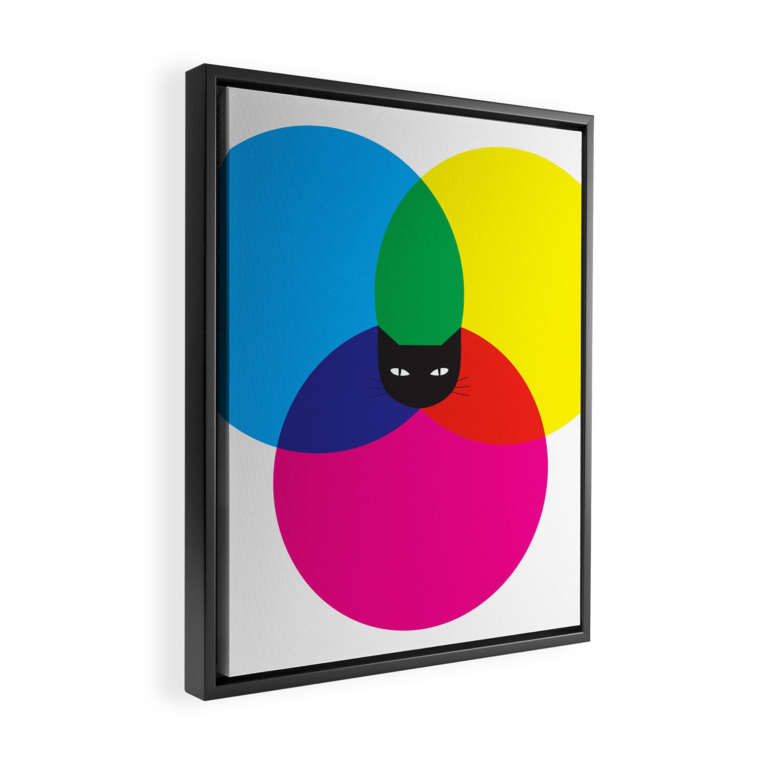 CMYKAT Framed Canvas Print Gallery Image 2