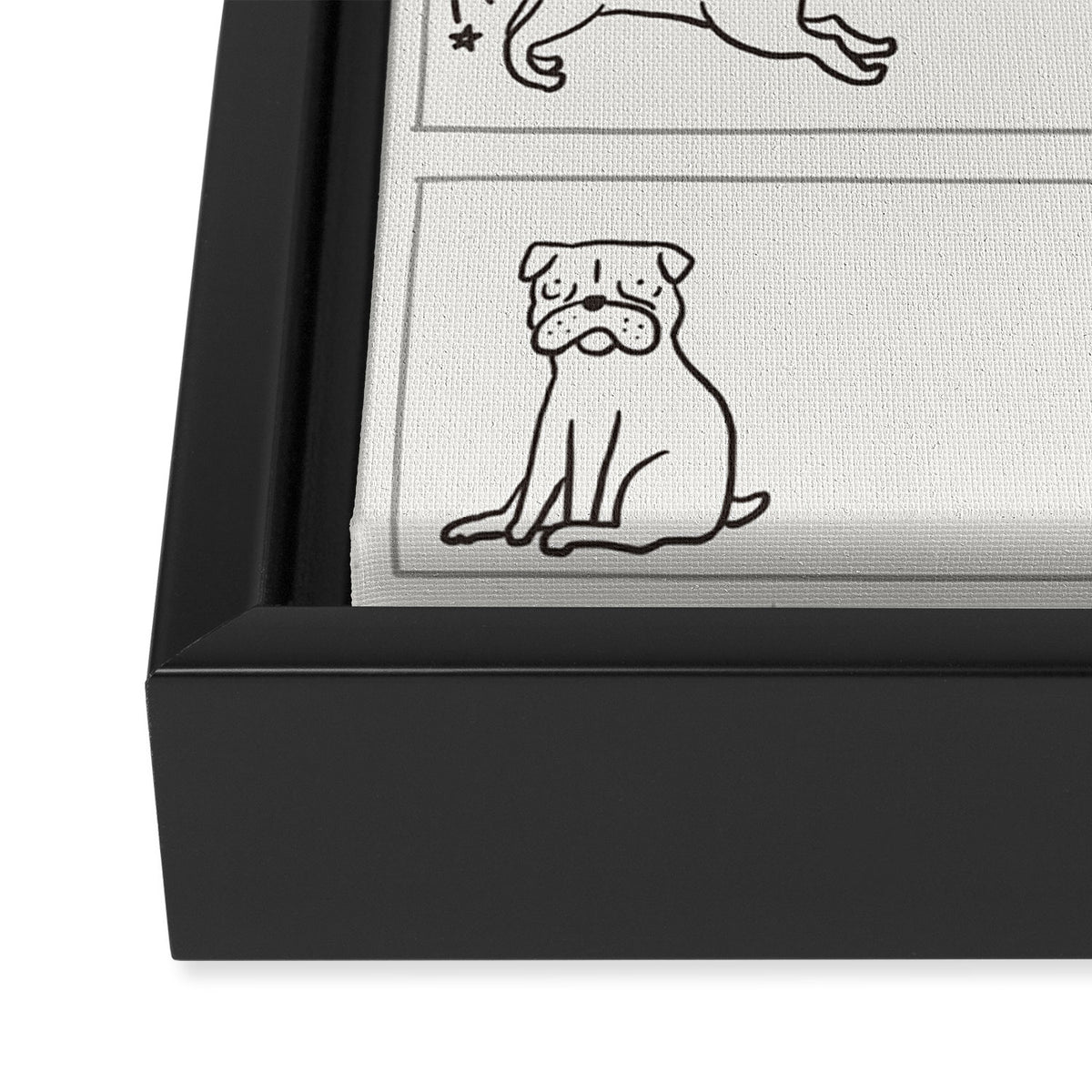 From Dog To Pug Framed Canvas Print Gallery Image 3